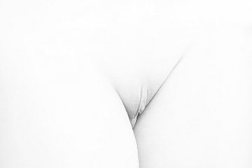 Künstlerische Vagina Nackt in High Key Schwarz und Weiß von Art By Dominic