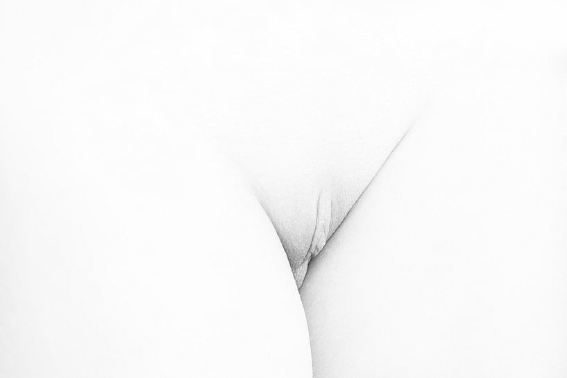 Künstlerische Vagina Nackt in High Key Schwarz und Weiß von Art By Dominic