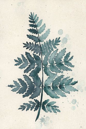 Wintertaling aquarelvaren 1