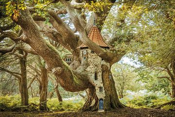 With elfin eyes 22 by Lars van de Goor