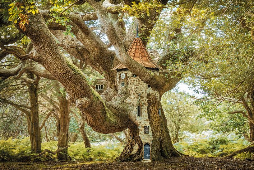 With elfin eyes 22 by Lars van de Goor