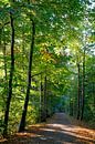 october by Ostsee Bilder thumbnail