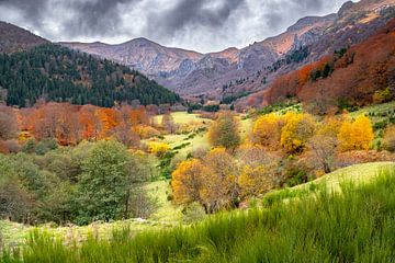 Herfstkleuren Auvergne 02