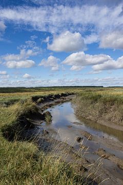 Verdronken Land van Saeftinghe, Nederland van Imladris Images