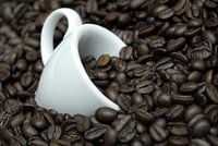 Eine Tasse Kaffee