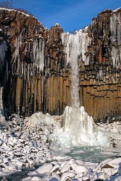 Svartifoss (Schwarzer Wasserfall) in Island 2/2 von Anton de Zeeuw