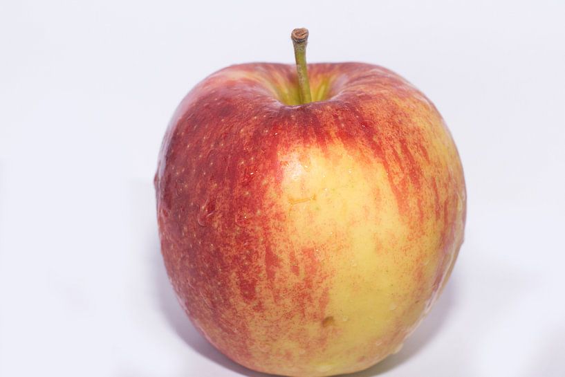 apple in the light by Diana Edwards