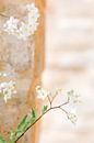 Takje met witte bloemen voor een pastel-kleurige muur van Marika Huisman fotografie thumbnail