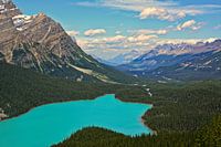 Lake Peyto, Alberta Canada