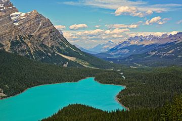 Peyto-See, Alberta Kanada von Mike Bos