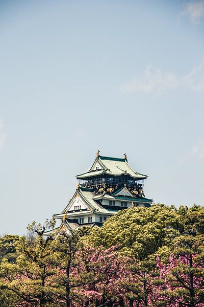 Kasteel van Osaka tijdens de kersenbloesem, Japan van Expeditie Aardbol