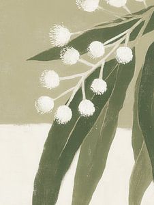 Minimalistischer Eukalyptus mit weißen Blüten