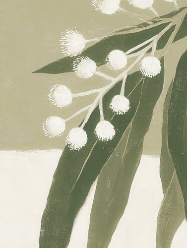 Eucalyptus minimaliste avec fleurs blanches