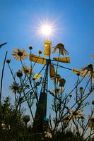 Spring at the windmill