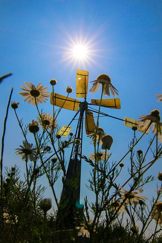 Le printemps au moulin à vent