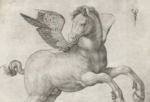 Pegasus, Jacopo de'Barbari