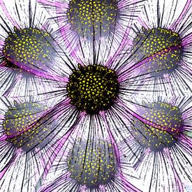 Une ligne de fleurs qui danse sur Jose Lok