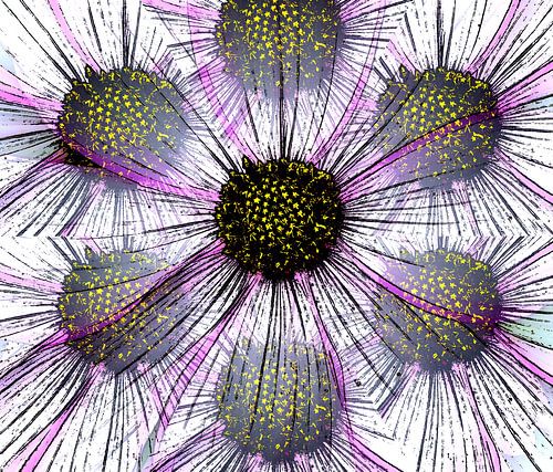 Une ligne de fleurs qui danse