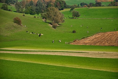 De Limburgse heuvels met een mooi lijnenspel