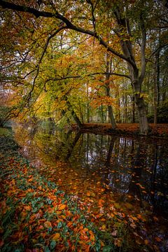 Traumwald in Wassenaar von Dirk van Egmond