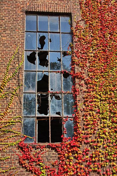 Fenêtre d'automne par Edgar Schermaul