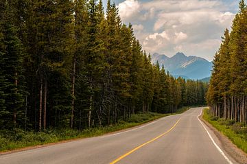 Kananaskis Lakes trail van Loris Photography