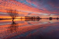 mirroring
