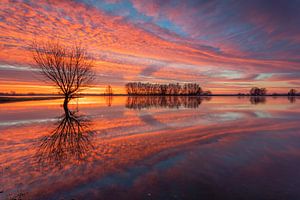 Hollands landschap spiegeling van Pieter limbeek