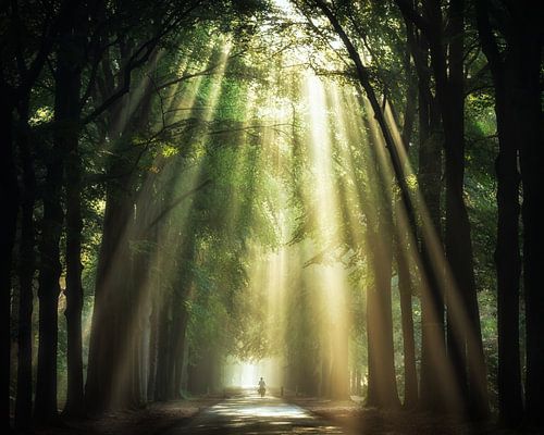 Strahlen der Gelassenheit von Fabrizio Micciche