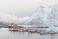 Vissersboten in de winter op de Lofoten in Noorwegen van Sjoerd van der Wal Fotografie thumbnail