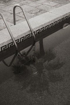 Piscine avec palmier en réflexion à Mallorca sur Photo Atelier