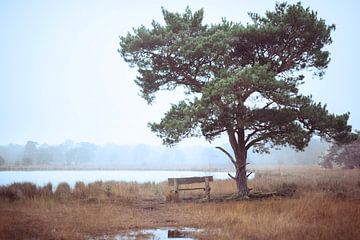 place of tranquility van Wilco Bos