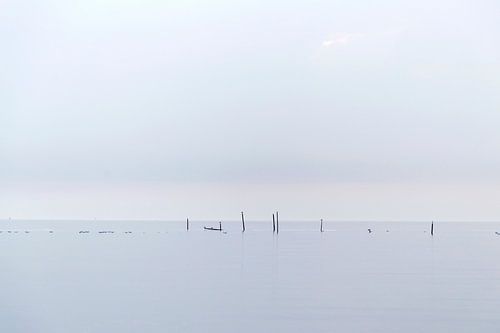 Nasse à Haringvliet