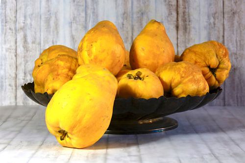 Stillleben mit Quitten