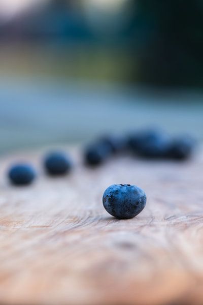 Blaubeeren von Jantina Mulder