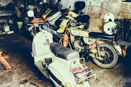 Born to be wild by Heiko Westphalen