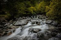 Wilde wateren