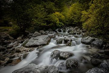 Wilde wateren van Mojca Osojnik