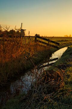 Dorregeester mill in golden light