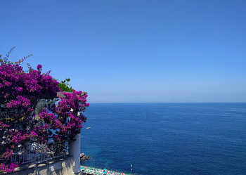 Sorrento Bay