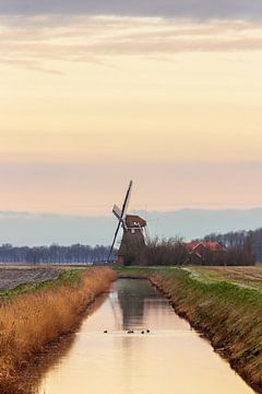Windmühle des Groote Polder in Slochteren von Marga Vroom