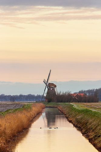 Molen van de Groote Polder in Slochteren