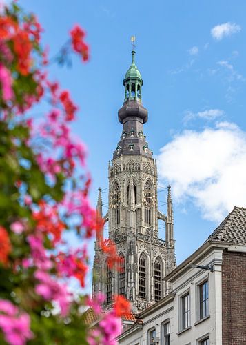 Breda, zomerse foto Grote Kerk