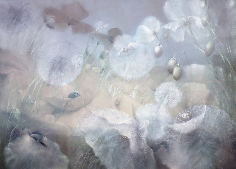 A hint of white flowers by Annette Schmucker