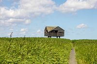 De Kiekkaaste birdwatching spot Drieborg