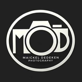 Maickel Dedeken Profile picture