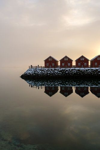 Rode huisjes in het winterlicht