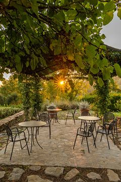 Lever de soleil dans un jardin toscan sur Dafne Vos