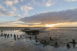 Shipwreck on the mudflats near Wierum