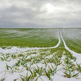 Schnee auf dem Feld von Christian Buhtz